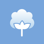 Commodities-COTTON.FUT-Cotton