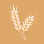 Commodities-WHEAT.FUT-Wheat